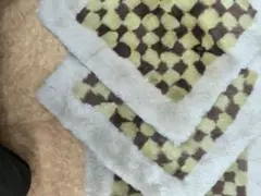 Item thumbnail for item 59c14ee7-8d76-4051-8330-29e4805c71e3