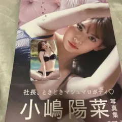 【トレカ入り】【直筆サイン入り】小嶋陽菜 写真集　かもしれない　 サイン入り オンラインショップ 写真集 直筆サイン入り】小嶋陽菜 かもしれ