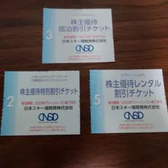 日本スキー場開発 割引チケットセット