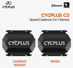 Item thumbnail for item 672bc3f5-ea19-4824-b494-0e6662b62993