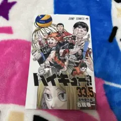 【入場特典】ハイキュー!! 33.5巻