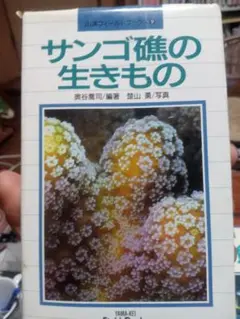 サンゴ礁の生きもの