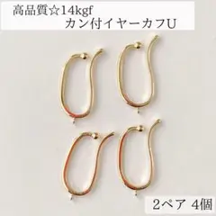 Item thumbnail for item 0985c72d-8efb-41ce-827e-a63b6f7cdb2c