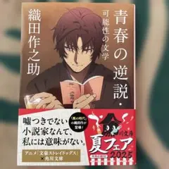 青春の逆説・可能性の文学