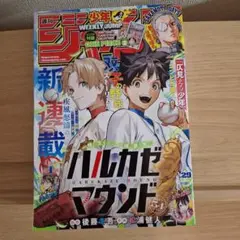 週刊少年ジャンプ　2025　29　6月30日号　ハルカゼマウンド