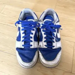 NIKE ナイキ　スニーカー Dunklow 28cm