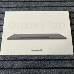 33【早い者勝ち】 Galaxy tab S9+ 256GB 国内版