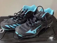 Item thumbnail for item 65d0b5a5-0d03-4f9f-ad94-92c0b51112d1