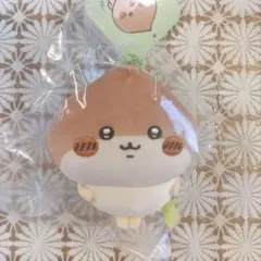 Item thumbnail for item 720bf908-02ff-488c-8dca-9d437a6f5dcf