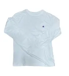 Item thumbnail for item 3699ec8f-ac2f-4681-b991-953e10a3e10f