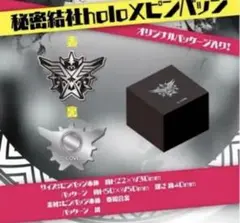 秘密結社holoX ピンバッジ 「ホロライブ 秘密結社holoX デビュー記念
