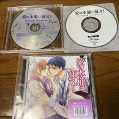 2025年最新】愛の本能に従え cdの人気アイテム - メルカリ