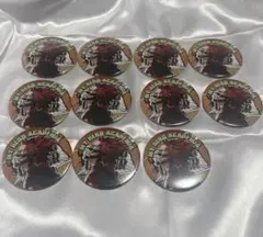 僕のヒーローアカデミア ヒロアカ 切島鋭児郎 コレクション 缶バッジ