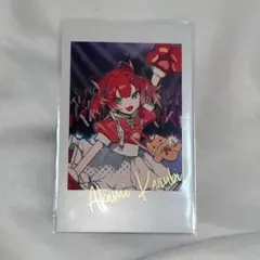 CR CrazyRaccoon 赤見かるび