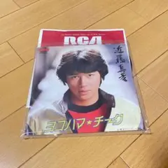 ヨコハマ・チーク