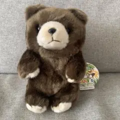 新品未使用　くま　ぬいぐるみ　FOREST ANGEL