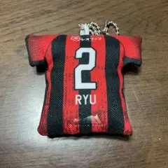 北海道コンサドーレ札幌クッションキーチェン 背番号２８番。岡田大和選手