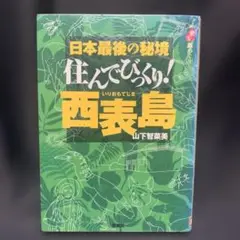 住んでびっくり!西表島 : 日本最後の秘境 : 図書館リサイクル本