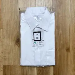 Item thumbnail for item 60dba09e-1e21-4c2e-811a-1816d04af99a