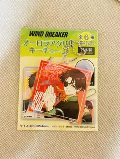 WIND BREAKER オーロラアクリルキーチェーン 蘇芳隼飛