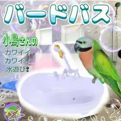 バードバス 水遊び 小鳥 インコ 白 水遊び お風呂 バスタブ シャワー付き 鳥