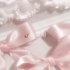 専用ページ