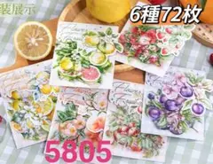新品❗️碩果花香シリーズ　PET果物ステッカーシール　コラージュ素材　6種72枚