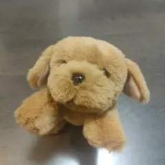 もみじのこども　ゴールデンレトリバー　ぬいぐるみ