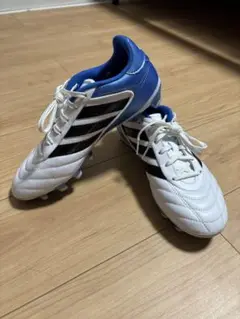 ❗️最終値下げ❗️adidas サッカースパイク　コパ グローロ　25cm