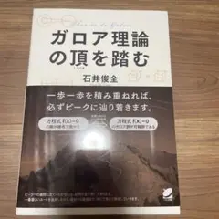 ガロア理論の頂を踏む