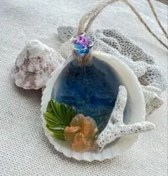 貝殻の中のた小さな海
