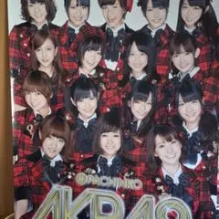 非売品パチンコAKB48　店舗広告用　巨大タペストリーポスター 非売品パチンコAKB48 店舗広告用 巨大タペストリーポスター