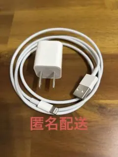 Apple純正品 Lightningケーブル 充電器 セット