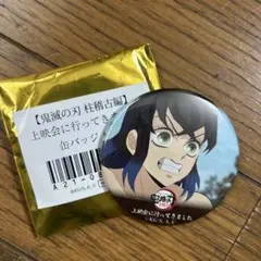鬼滅の刃 缶バッジ　柱稽古編