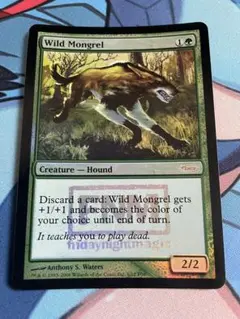 最終 SALE❗️MTG 野生の雑種犬　エラーカード　1枚 野生の雑種犬 [ODY] 【BIGWEB | MTG】日本最大級の激安カード