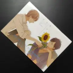 君は夏のなか　初回限定版小冊子　古矢渚