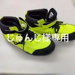 Item thumbnail for item 30fcb6a7-d689-4bbe-8104-6a899a6d8d91