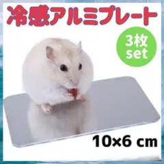 Item thumbnail for item 7f437925-5f8f-4d17-a5ba-2f694b429429