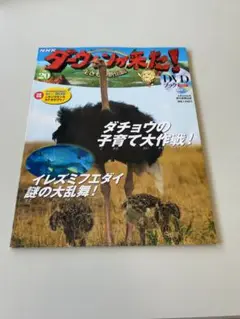 ダーウィンが来た！　DVDブック　47巻まとめ売り　DVD未使用 ダーウィンが来た!DVDブック - メルカリ