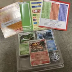 ポケモンカード　ゴウカザル　エンペルト　ドダイトス　スターター　エントリーパック