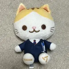seventeen SEGA 猫 マスコット スングァン ぬいぐるみ