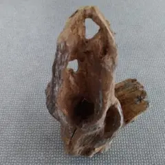 ★自然流木 ソメイヨシノ桜の自立式スタンド自然な形状穴あり23cm