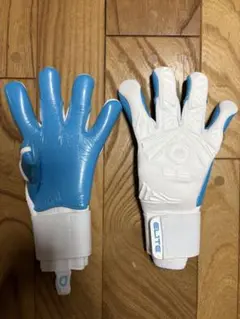 新品　新作　大特価　エリートスポーツ　キーパーグローブ　AQUA