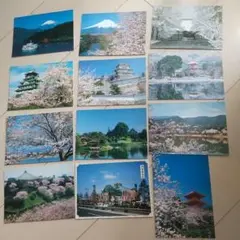 2025年最新】絵葉書 岡山後楽園の人気アイテム - メルカリ