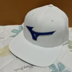 Item thumbnail for item 382427cc-ab5d-435d-9924-8f5b9e8470fc