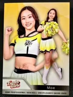 Item thumbnail for item a82c1e5f-4134-4ef4-b6ac-ddcdeb5489a0