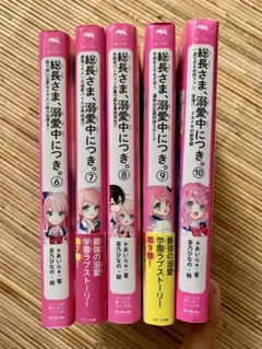 総長さま、溺愛中につき。　6巻〜1 0巻　5冊セット