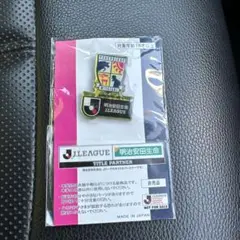 テゲバジャーロ宮崎　非売品　ピンバッチ