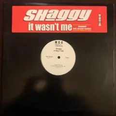 Shaggy - It Wasn't Me