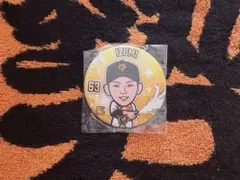 ジャイアンツ　巨人　ガチャ　泉圭輔
